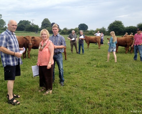 Angus Halter auf Hof Christelhoi